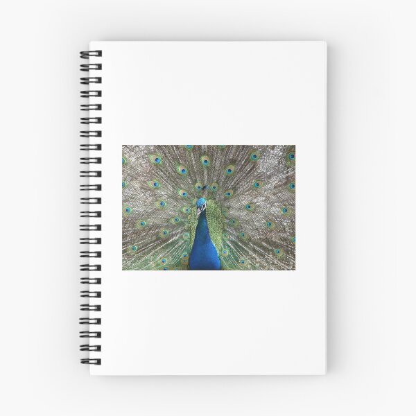 Item preview, Peter Peacock designed and sold by LadyEloise.