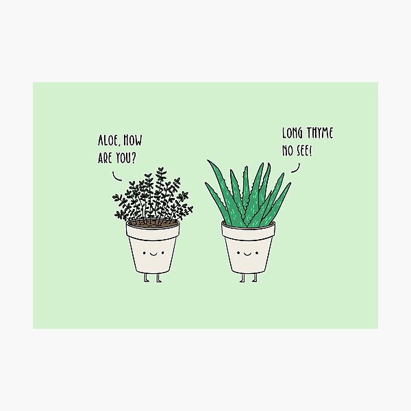 Thyme Gifts & Merchandise for Sale Redbubble