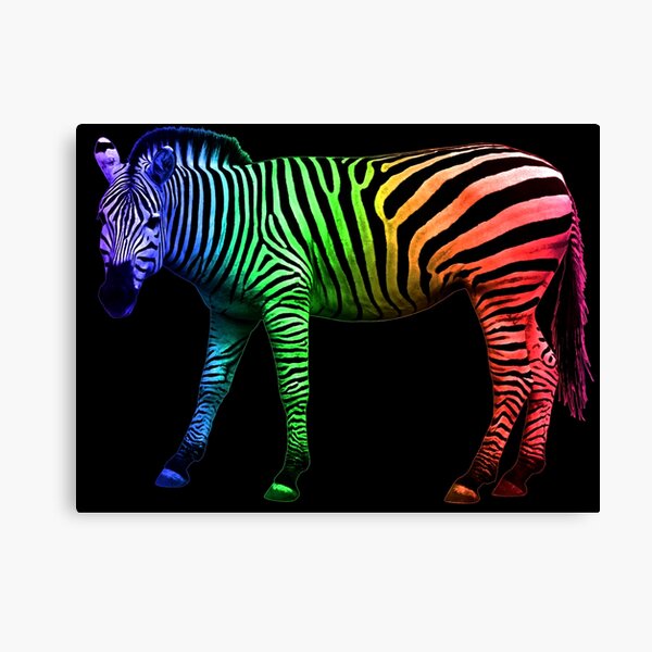 Rainbow Zebras print by Zaira Dzhaubaeva