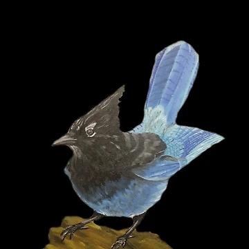 Artwork thumbnail, Blue jay by Reedthearts