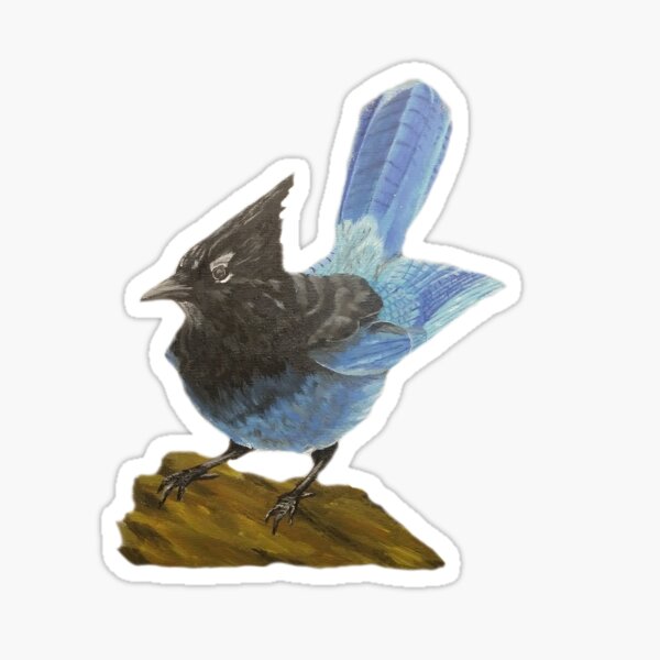 "Blue jay" Sticker for Sale by Reedthearts Redbubble