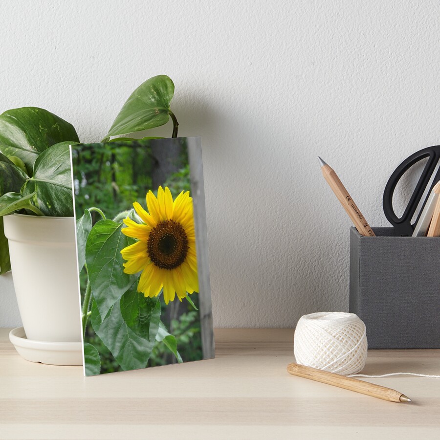 Sunflower Art Board Print
