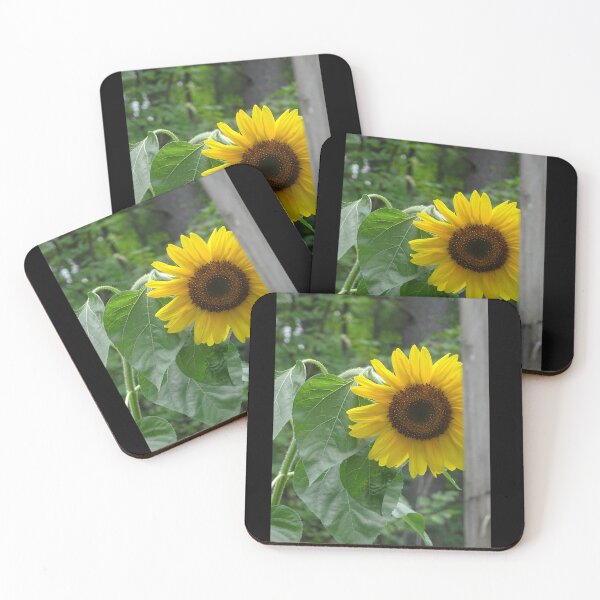 Item preview, Sunflower  designed and sold by PicsByMi.