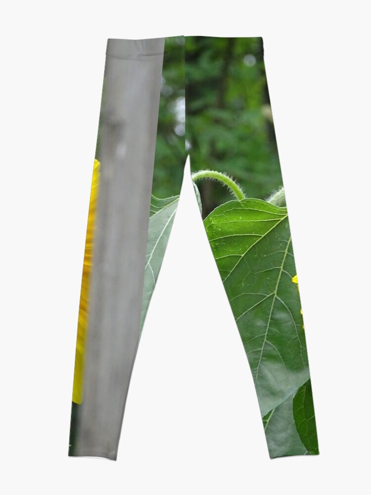 Alternate view of Sunflower Leggings