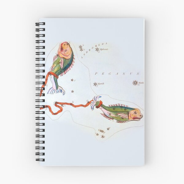 Item preview, Antique Pisces Constellation Map designed and sold by VintageArchive.