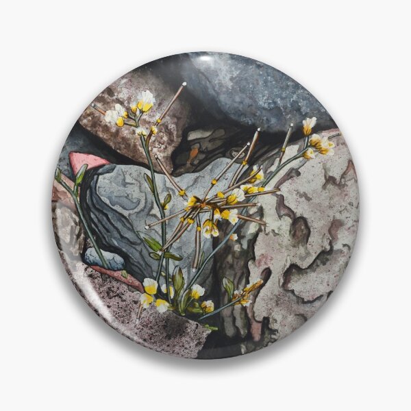 Item preview, Alpine Rockcress designed and sold by Stephen Emms.