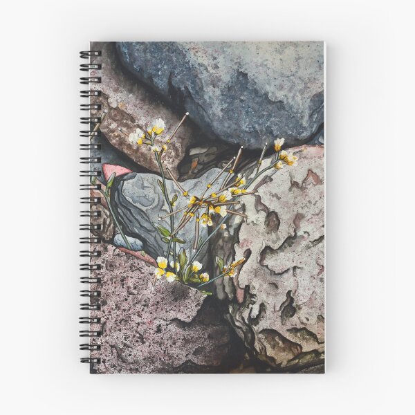 Item preview, Alpine Rockcress designed and sold by Stephen Emms.