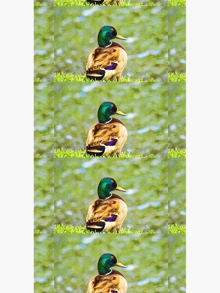 Male Mallard Bokeh by KayBrewer