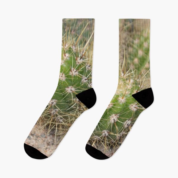 Item preview, two cacti with needles close up designed and sold by nataliavavilina.