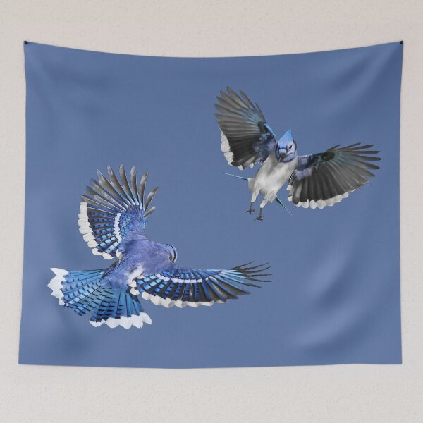 Item preview, Flying Bluejays designed and sold by cherylorraine.