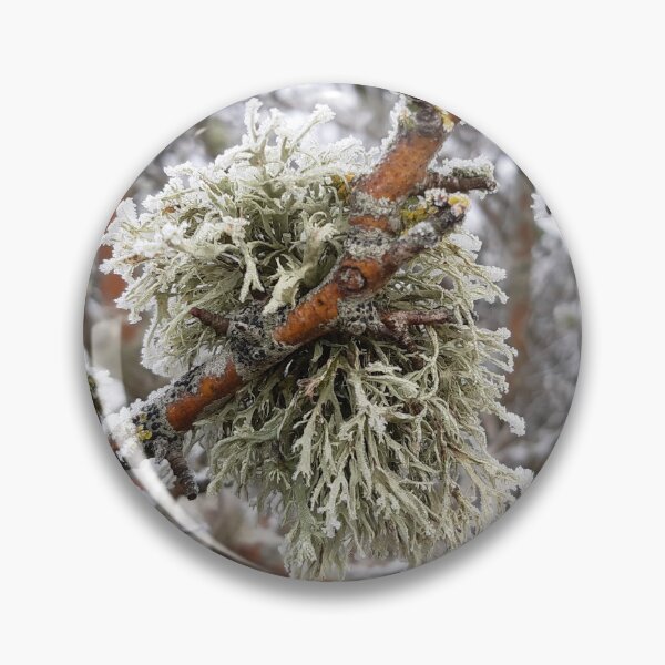 Item preview, Lichen in frost. designed and sold by Emma  Amies.