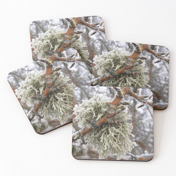Item preview, Lichen in frost. designed and sold by Emma  Amies.