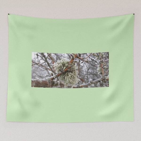 Item preview, Lichen in frost. designed and sold by Emma  Amies.