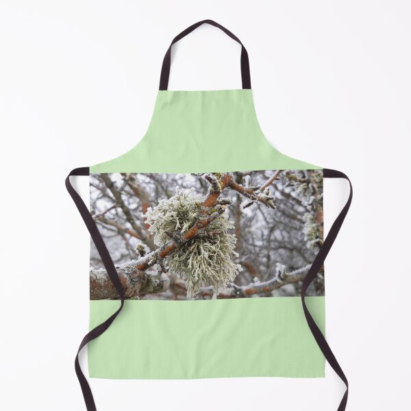 Item preview, Lichen in frost. designed and sold by Emma Amies.