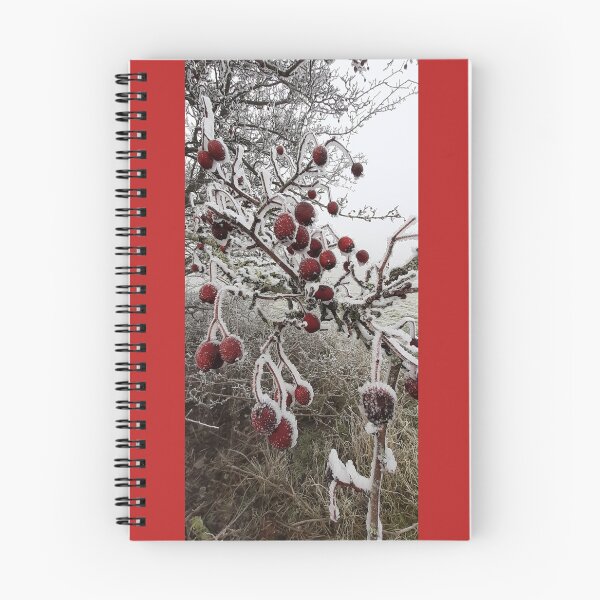 Item preview, Frosty red berries on the South Downs designed and sold by Emma  Amies.