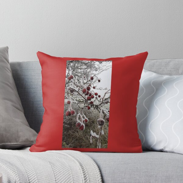 Item preview, Frosty red berries on the South Downs designed and sold by Emma  Amies.