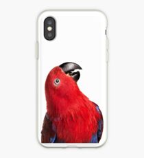 Eclectus iPhone Case