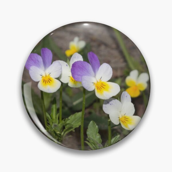 Item preview, small white-yellow-purple flowers pansies designed and sold by nataliavavilina.