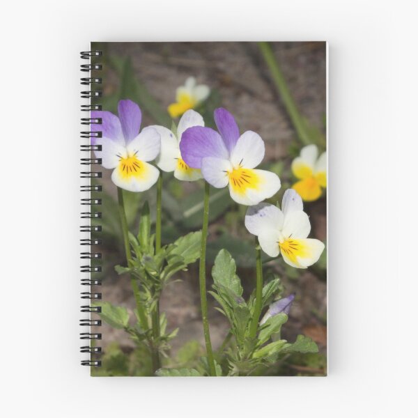 Item preview, small white-yellow-purple flowers pansies designed and sold by nataliavavilina.
