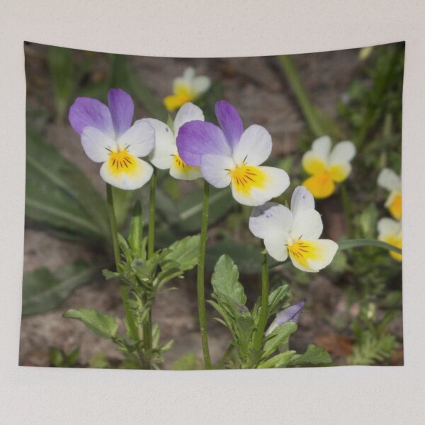 Item preview, small white-yellow-purple flowers pansies designed and sold by nataliavavilina.
