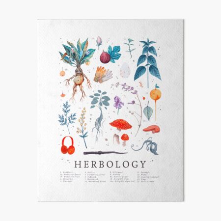 Herbology Harry Plants Art Board Print
