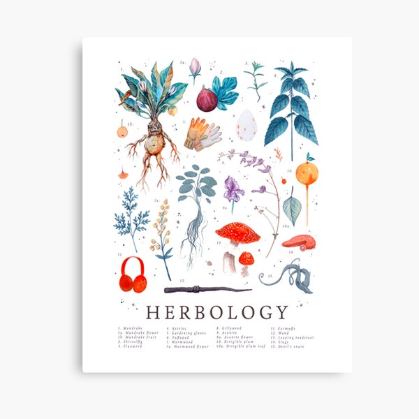 Herbology Harry Plants Canvas Print