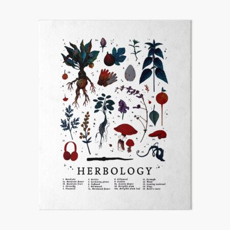 Herbologie Harry Plant Impression rigide
