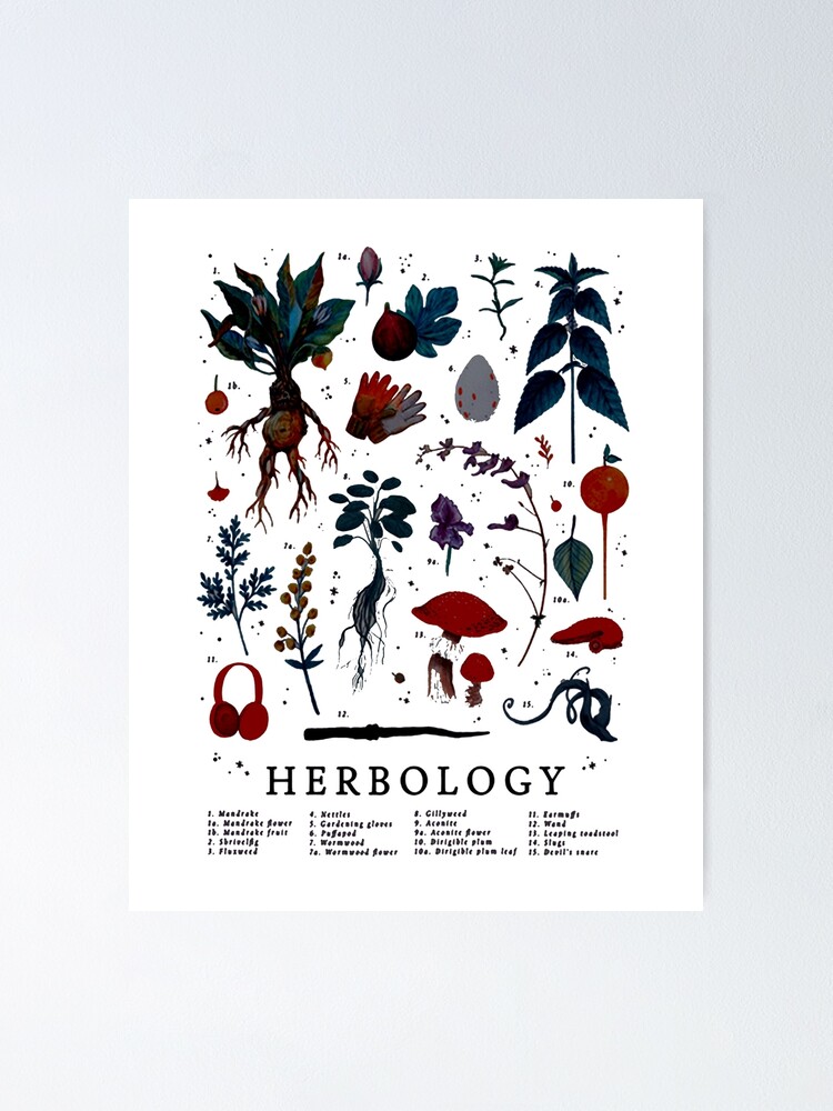 Herbology Harry Plant Poster By Roudani Redbubble