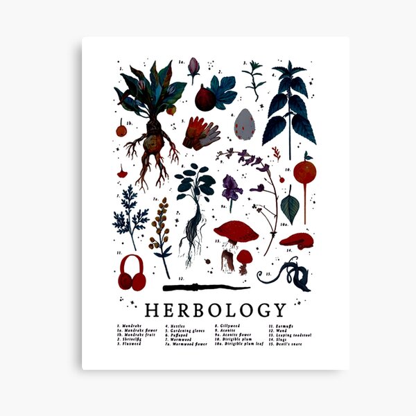 Herbology Harry Plant Canvas Print