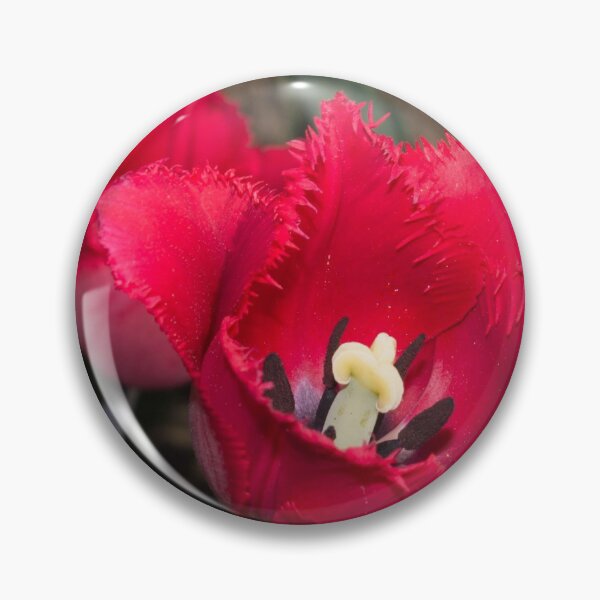 Item preview, red flowers tulips close up photo designed and sold by nataliavavilina.