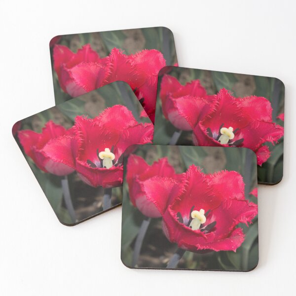 Item preview, red flowers tulips close up photo designed and sold by nataliavavilina.