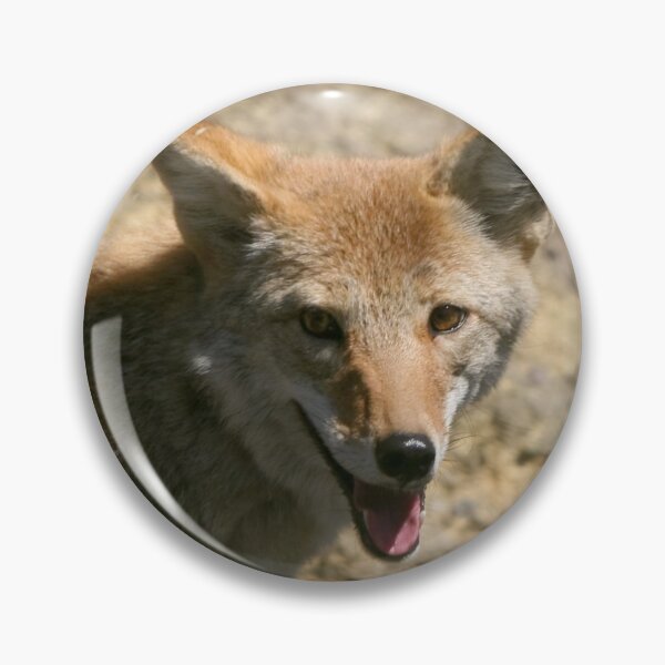 Item preview, Mesa Verde Coyote designed and sold by BarbaraWilliams.