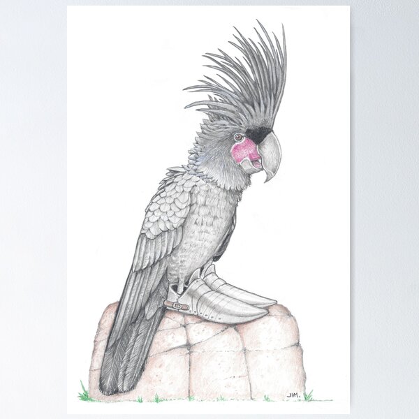Item preview, Palm Cockatoo in Knight shoes designed and sold by JimsBirds.