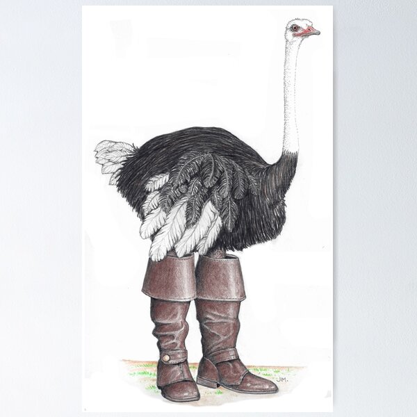 Item preview, Ostrich in Musketeer boots designed and sold by JimsBirds.
