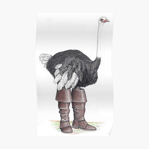 Ostrich in Musketeer boots Poster