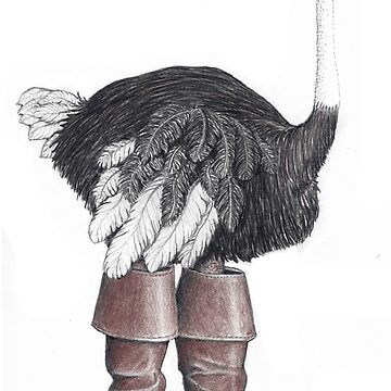 Artwork thumbnail, Ostrich in Musketeer boots by JimsBirds