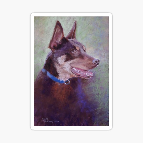 'Kevin the Kelpie' Sticker