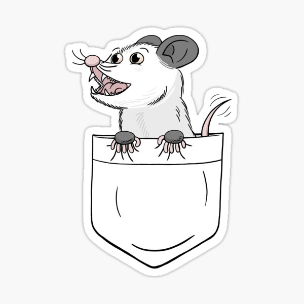 Baby Possum Sitting in Shirt Pocket Sticker