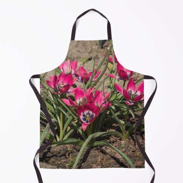 Item preview, pink and white crocus flowers grow on the ground designed and sold by nataliavavilina.