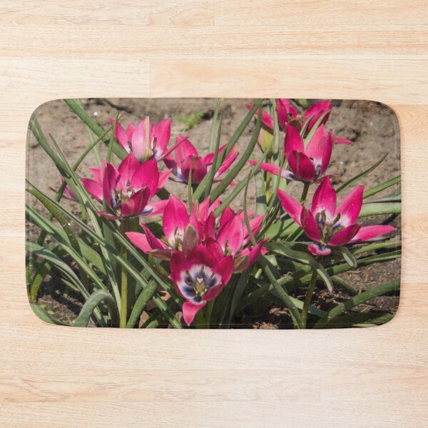 Item preview, pink and white crocus flowers grow on the ground designed and sold by nataliavavilina.