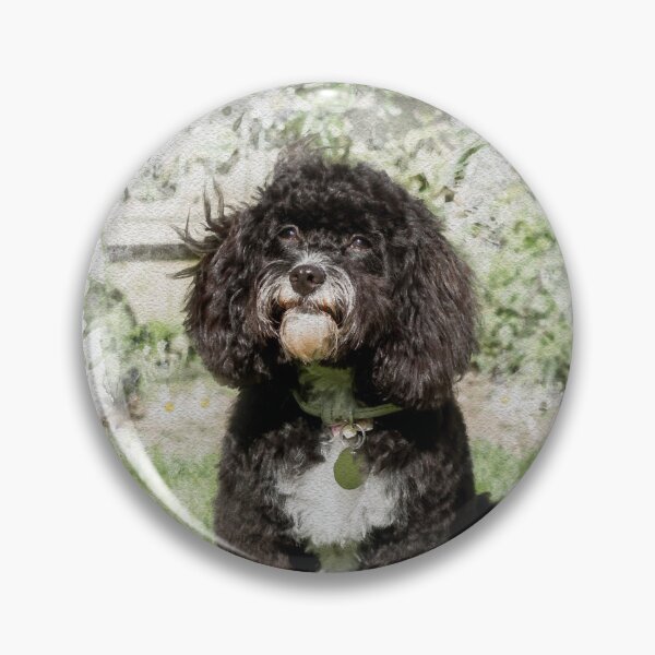 Item preview, Proud Cavapoo Puppy designed and sold by Jane Stanley Photography.