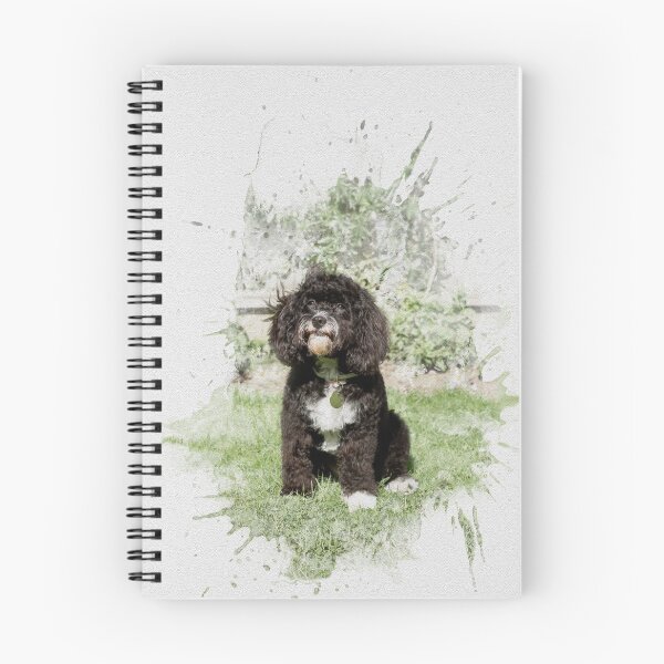 Item preview, Proud Cavapoo Puppy designed and sold by Jane Stanley Photography.