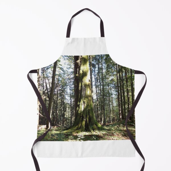 Item preview, old beech designed and sold by Danler.
