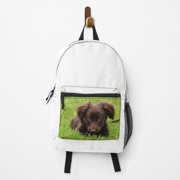 Item preview, Never Underestimate the Power of a Dog designed and sold by Anointedtoday.