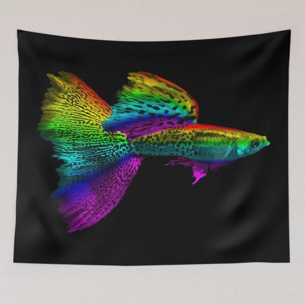 Item preview, Rainbow Guppy designed and sold by Handstand365.