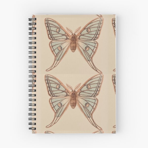 Item preview, Blue butterfly designed and sold by Maia-Aella.
