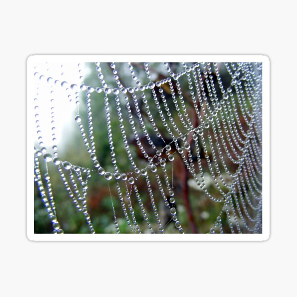 A String of Beads! Sticker