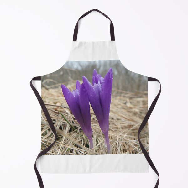 Item preview, saffron, crocus,(Crocus heuffelianus) designed and sold by Danler.