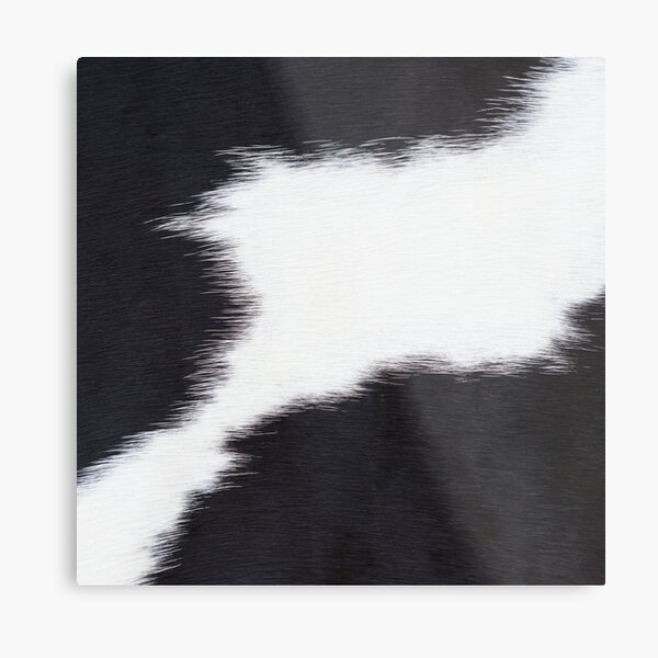 Modern Cowhide Detail Black and White Metal Print