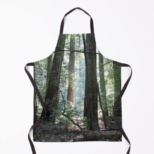 Item preview, Humboldt Cathedral designed and sold by Photos by Michael J. Mesmer.